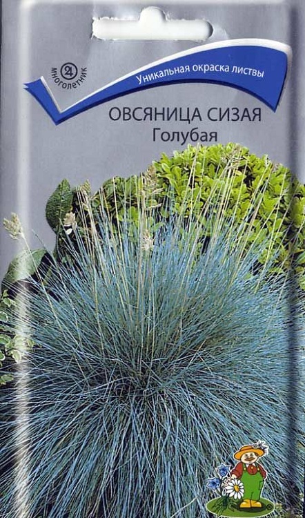 Превью изображения