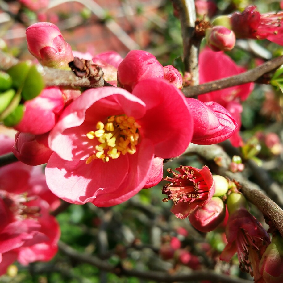 Превью изображения