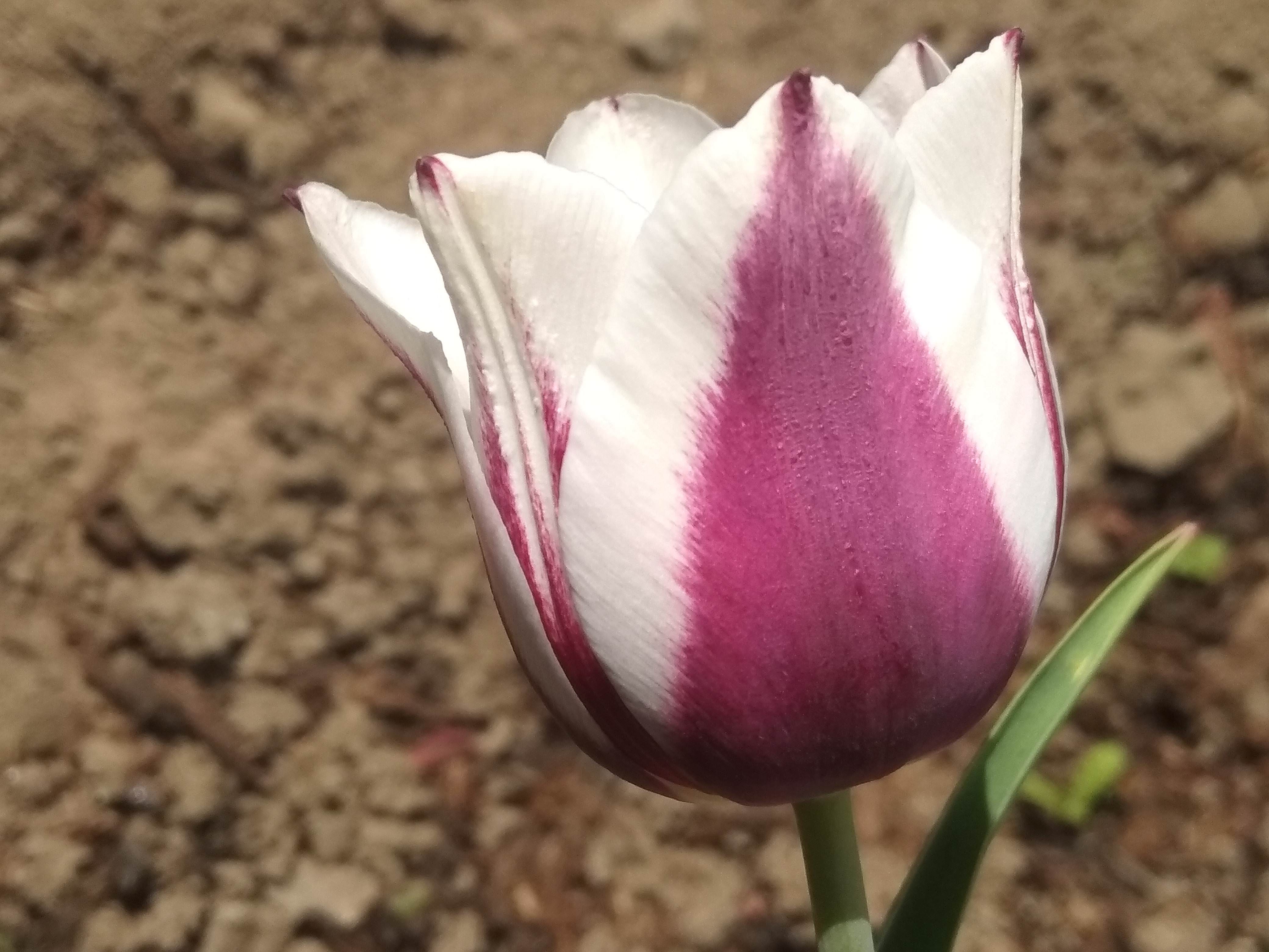 Превью изображения