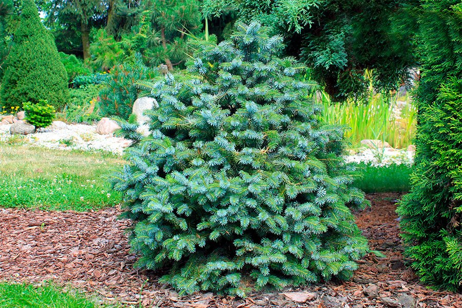 Превью изображения