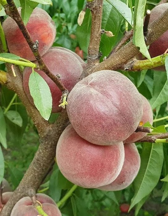 Превью изображения