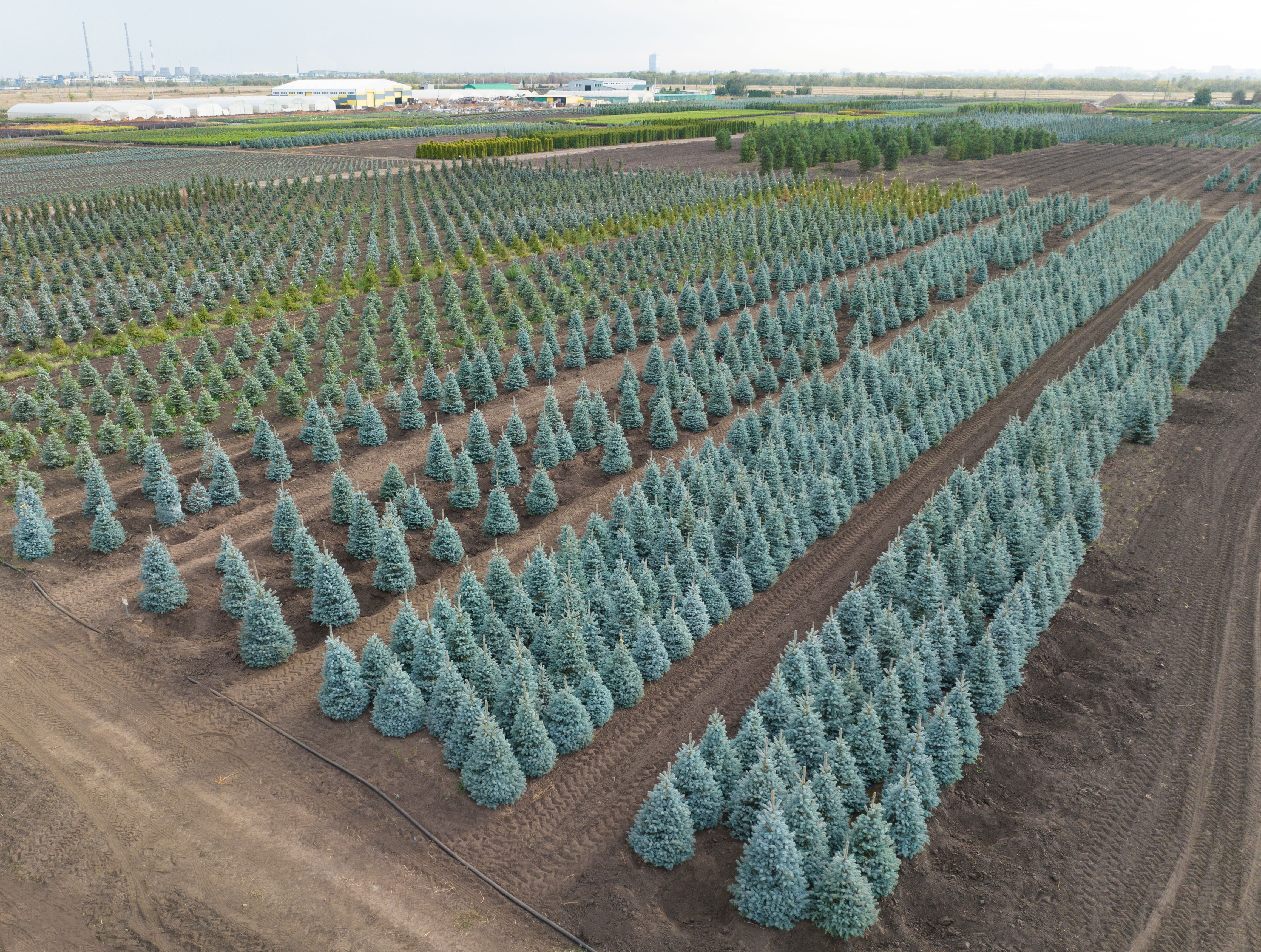 Превью изображения