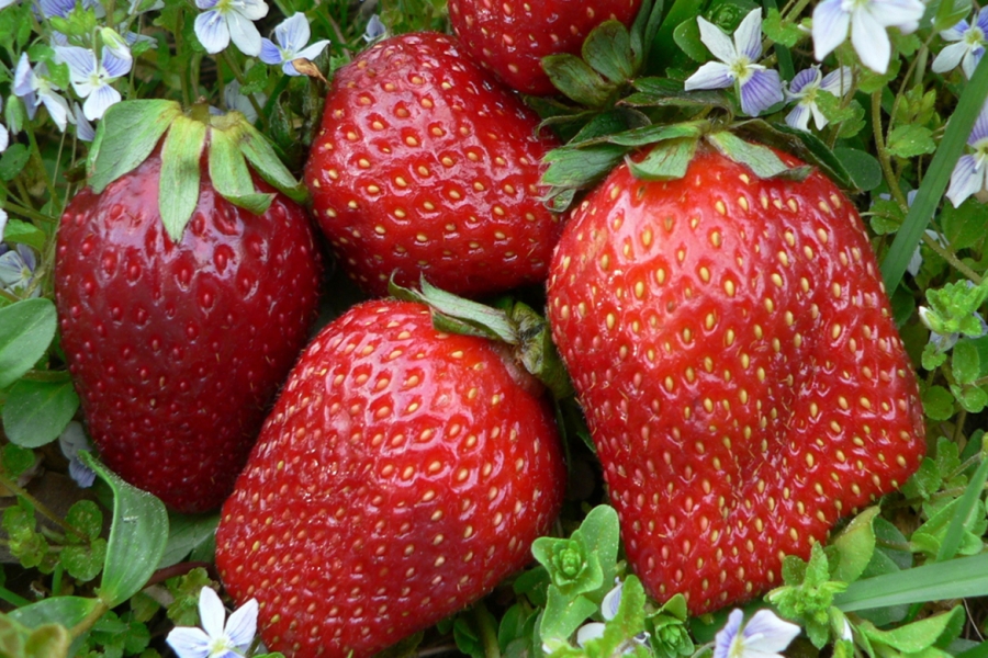 Превью изображения