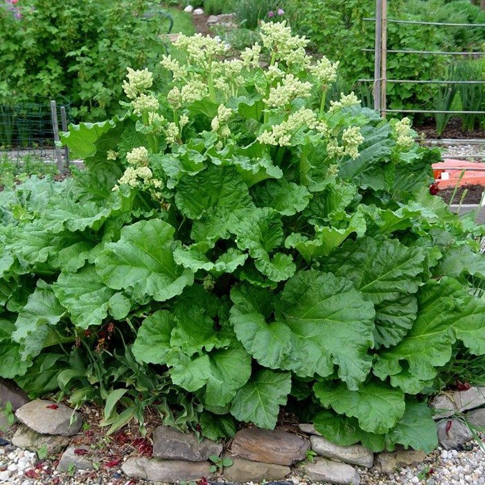 Превью изображения