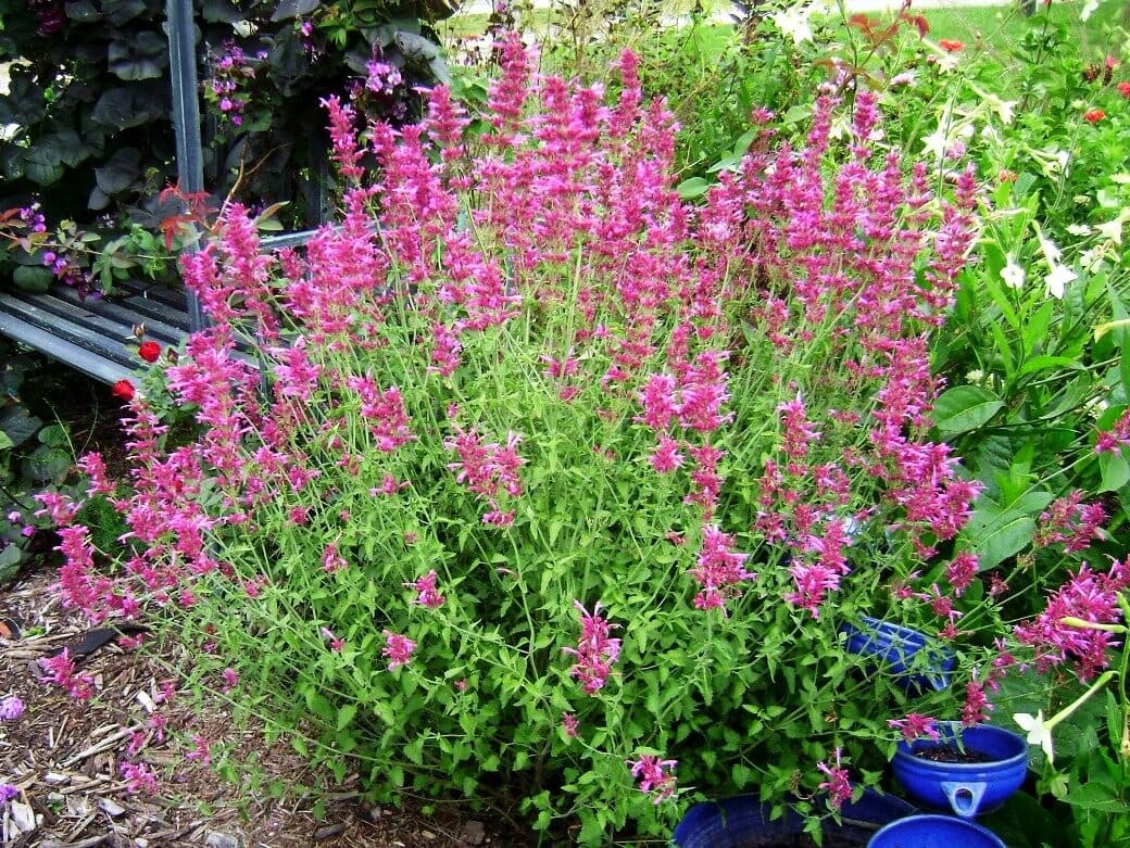 Превью изображения