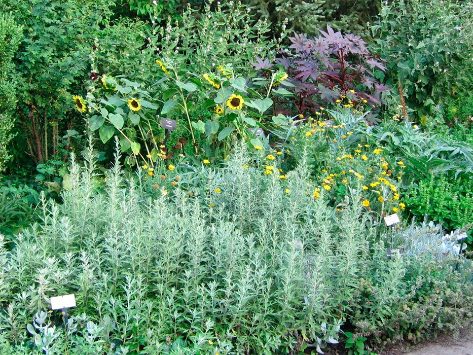 Превью изображения