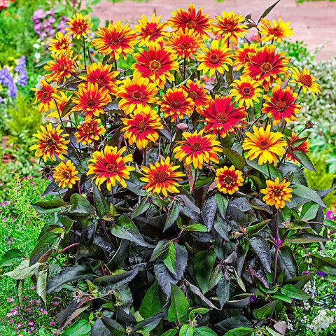 Превью изображения