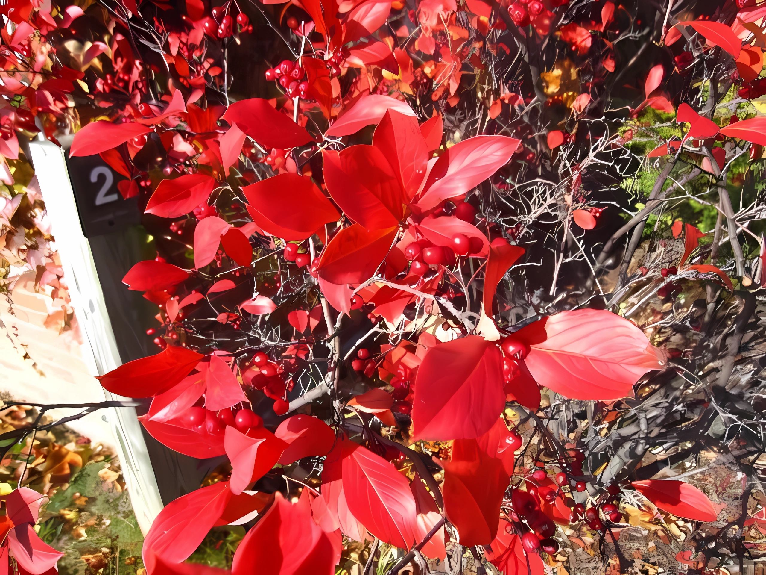 Превью изображения