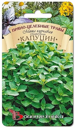 Превью изображения