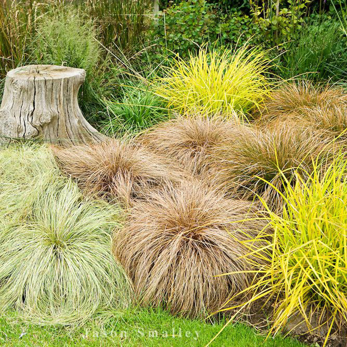 Превью изображения
