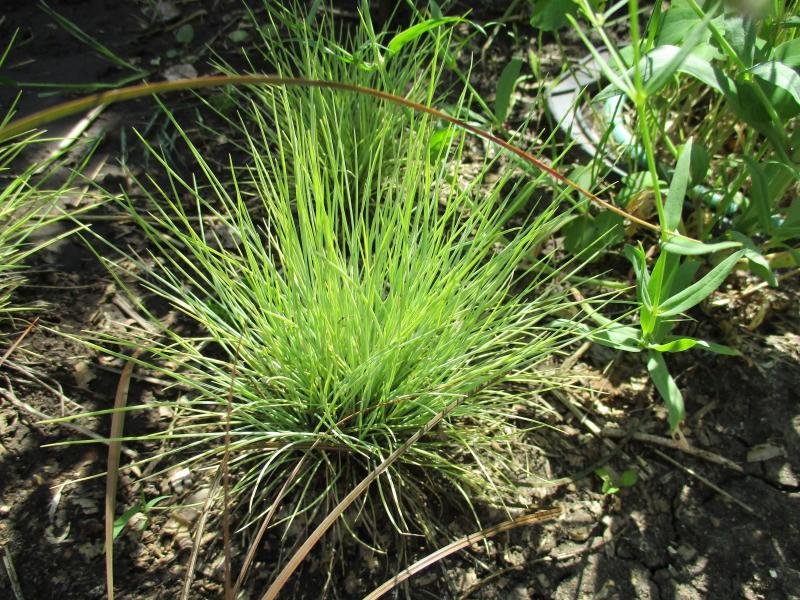 Превью изображения