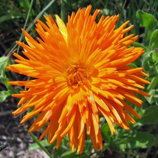 Превью изображения