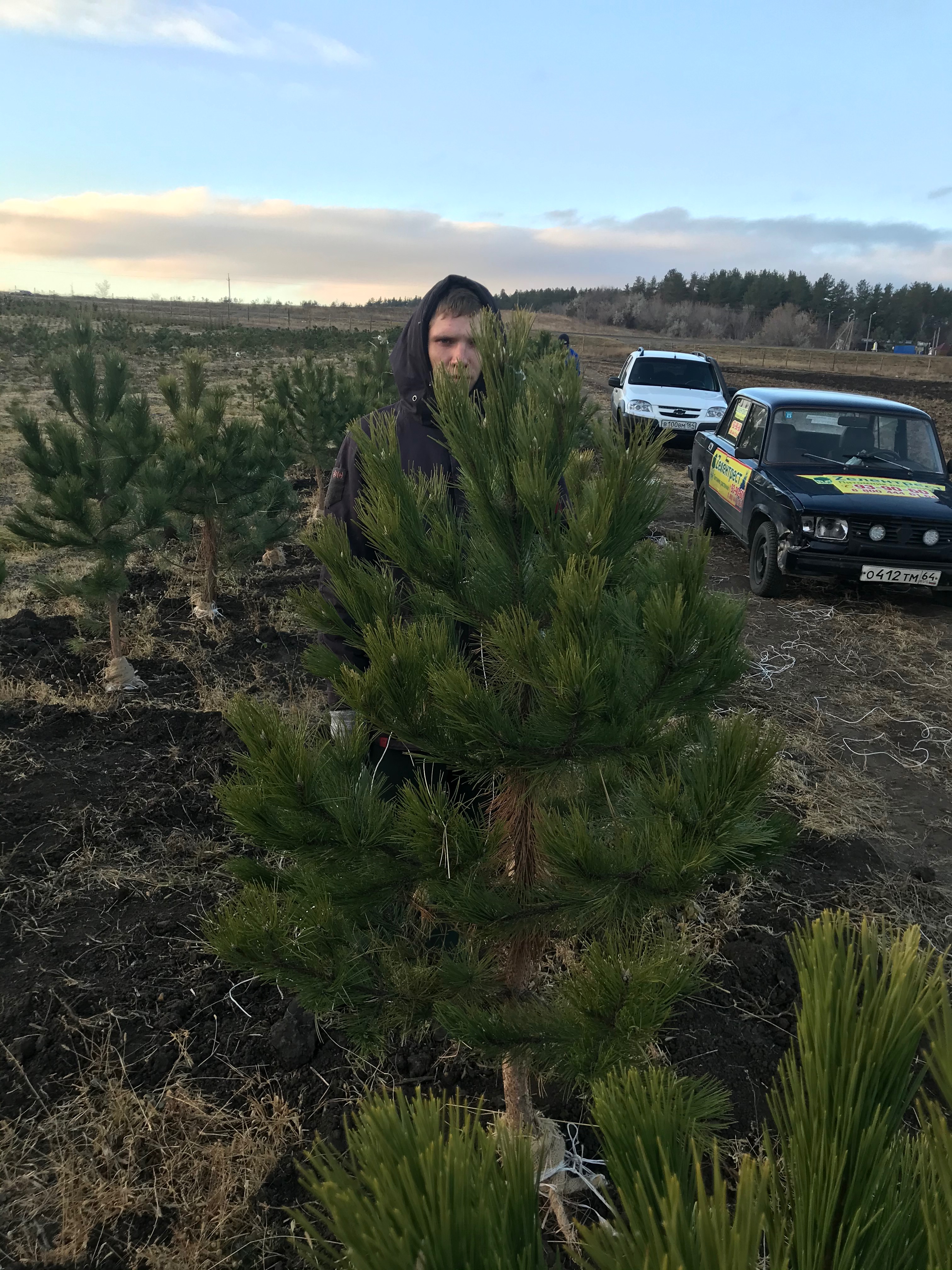 Превью изображения