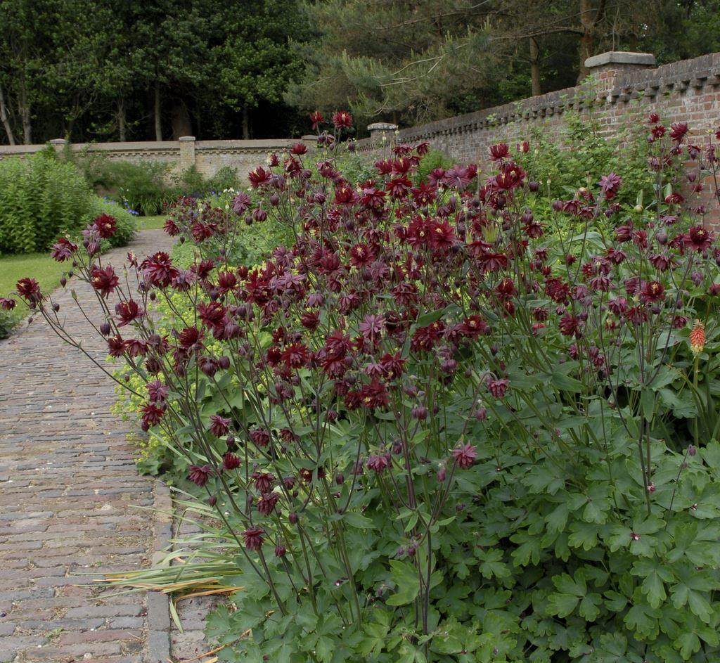 Превью изображения