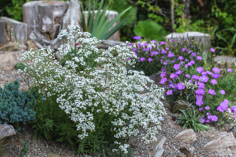Превью изображения