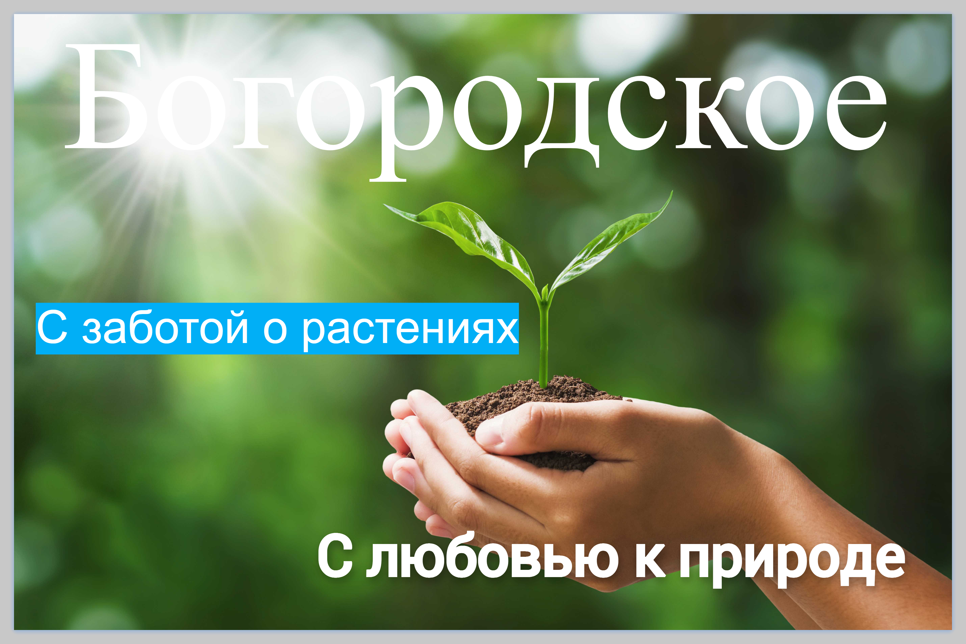 Превью изображения