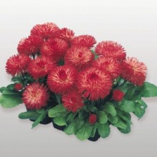 Превью изображения