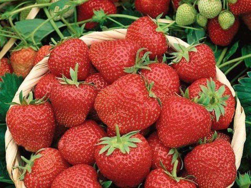 Превью изображения