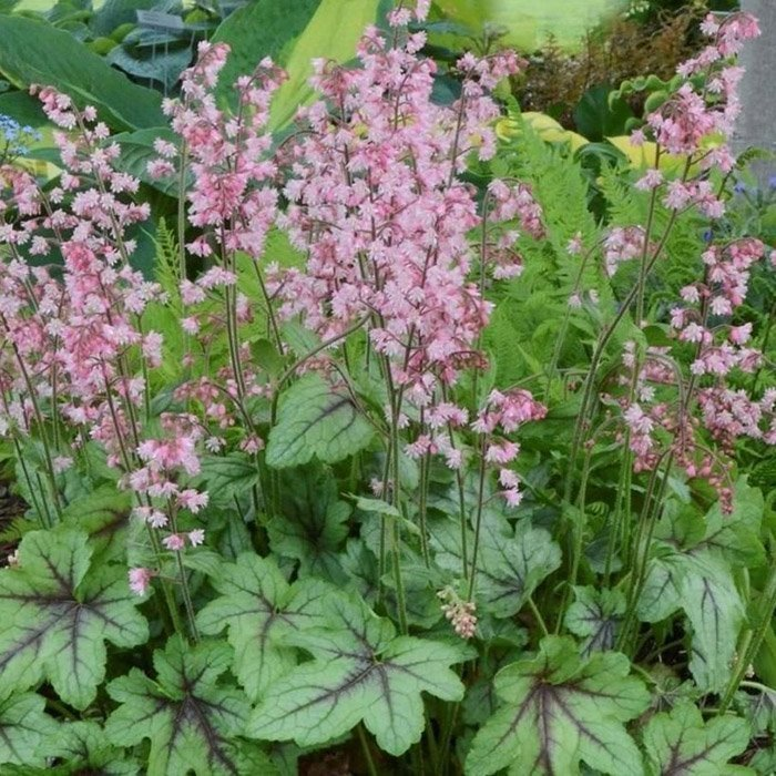 Превью изображения