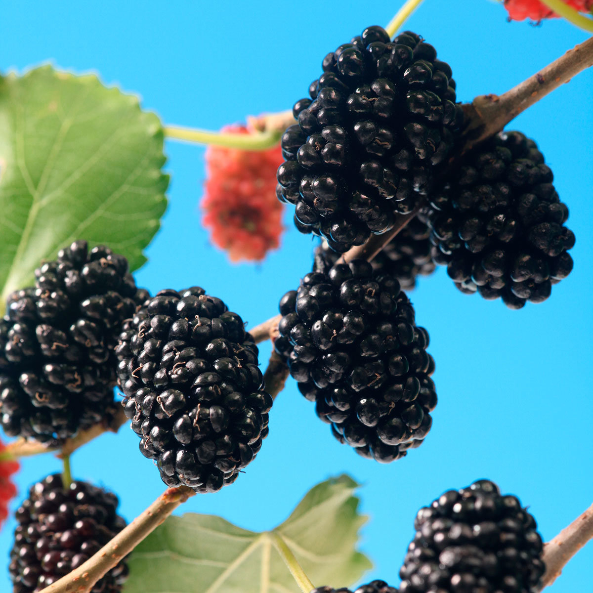 Превью изображения