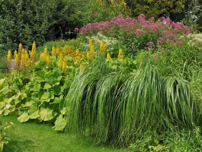 Превью изображения