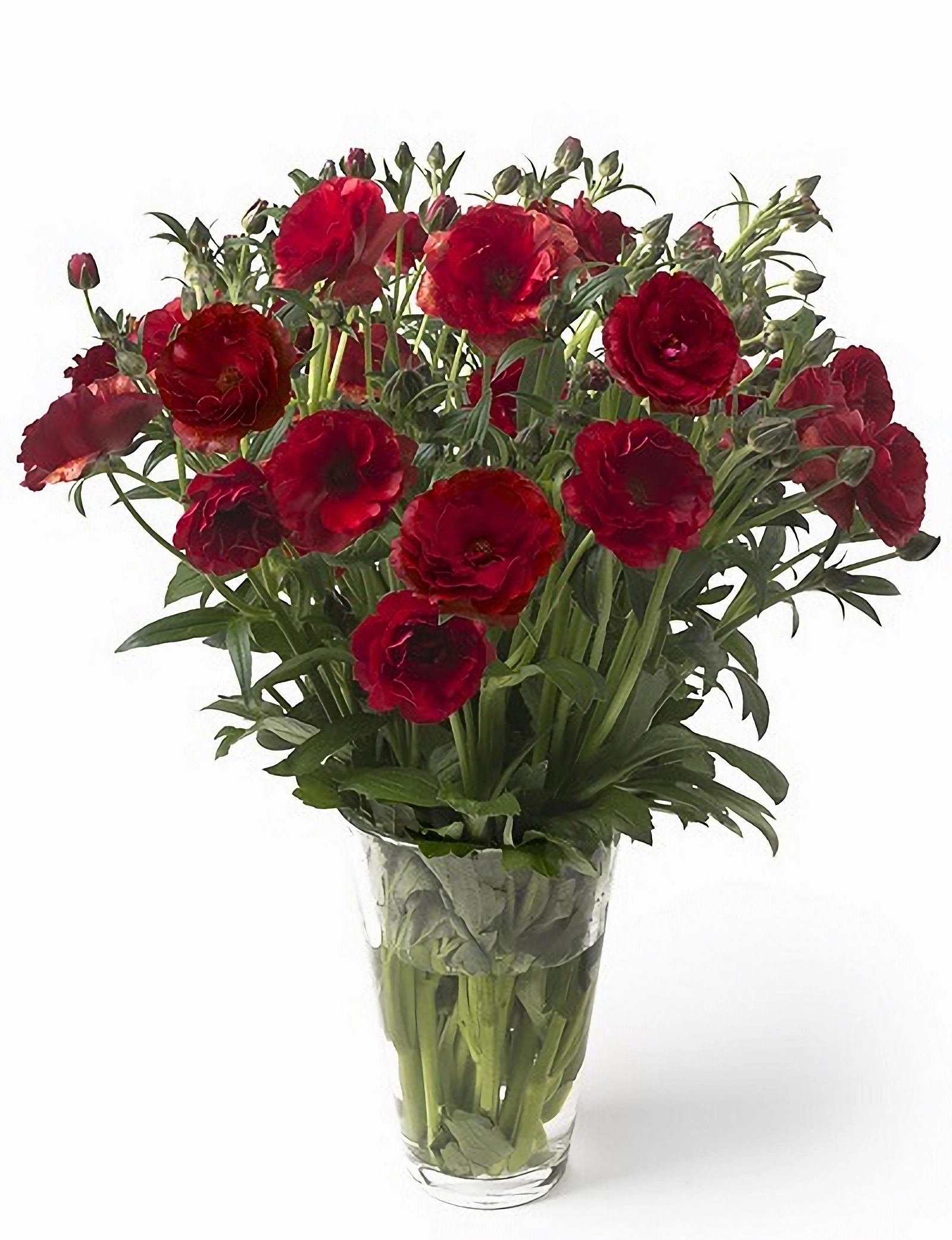 Превью изображения