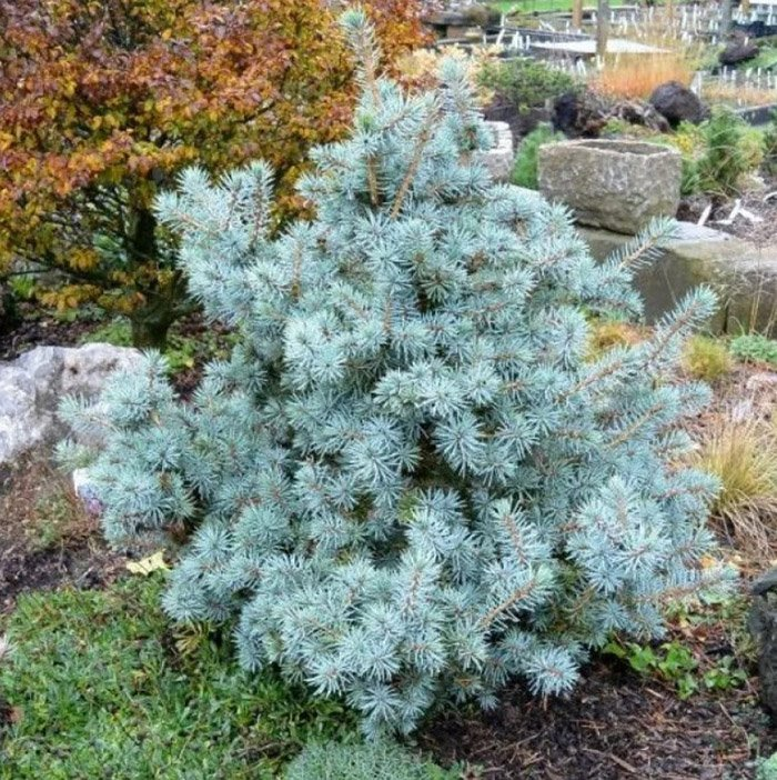 Превью изображения