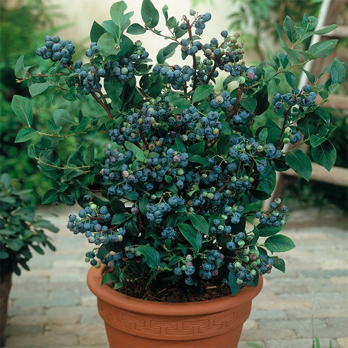 Превью изображения