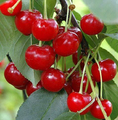 Превью изображения