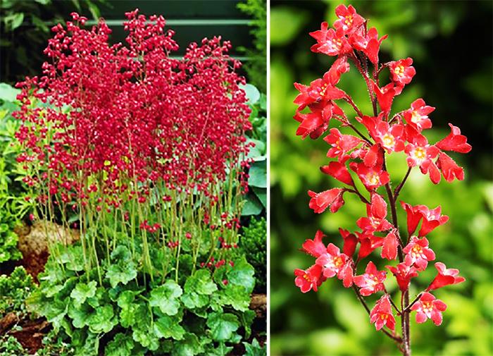 Превью изображения