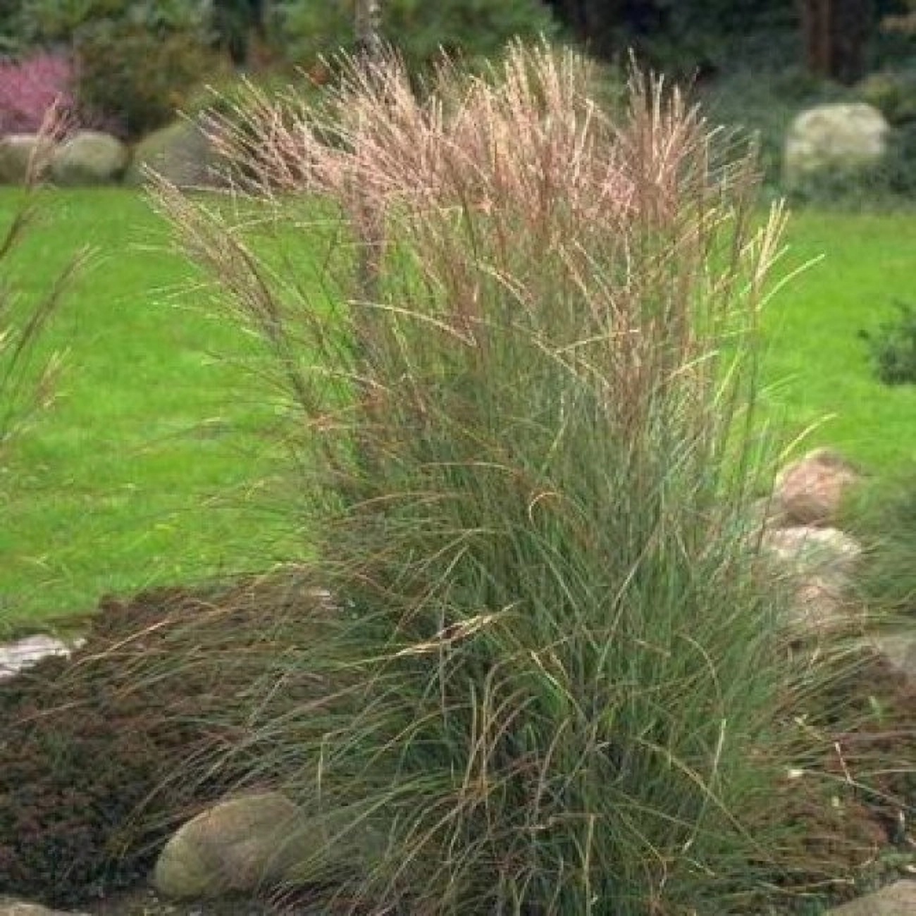 Превью изображения