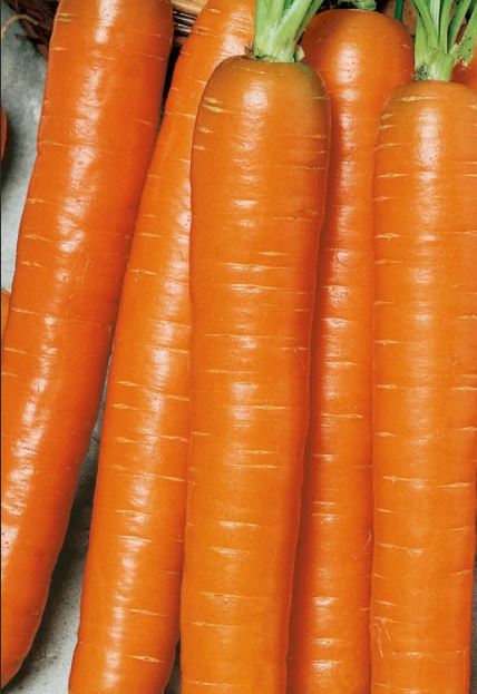 Превью изображения