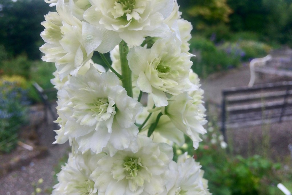 Превью изображения