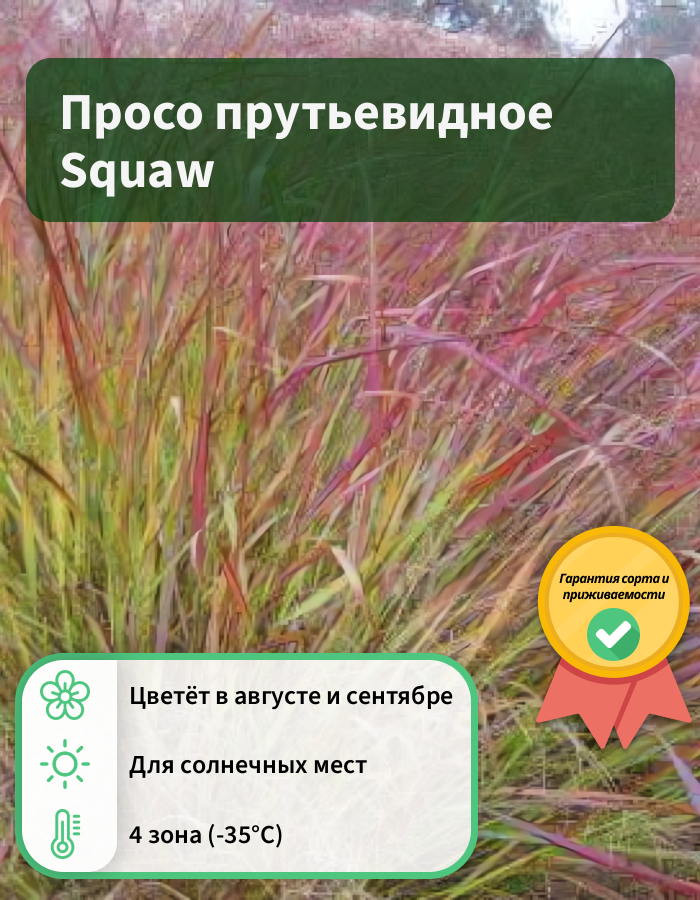 Превью изображения