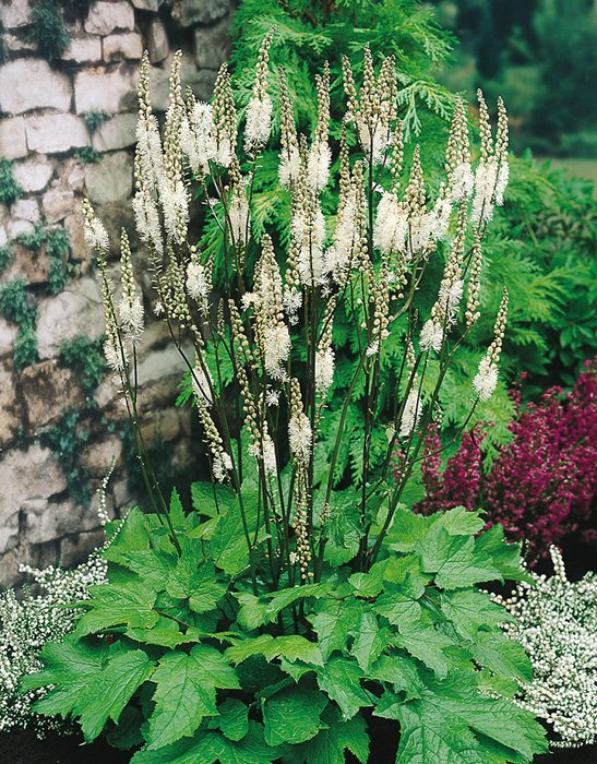 Превью изображения