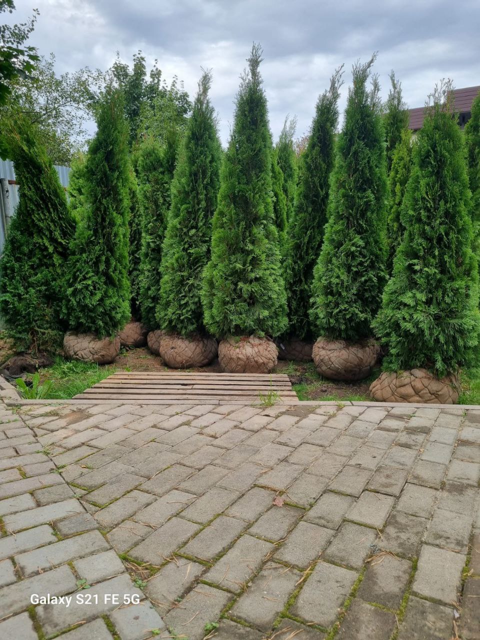 Превью изображения