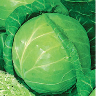 Превью изображения