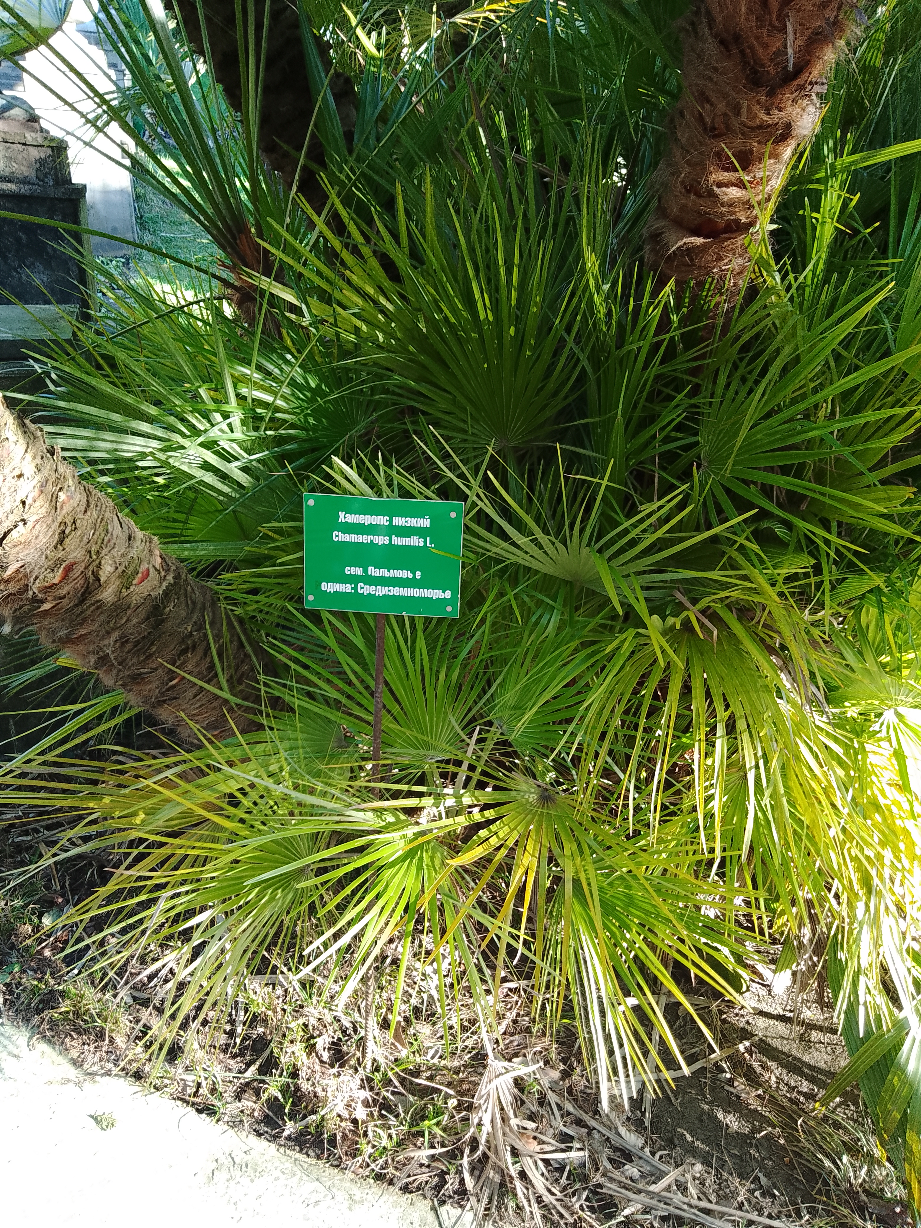 Превью изображения