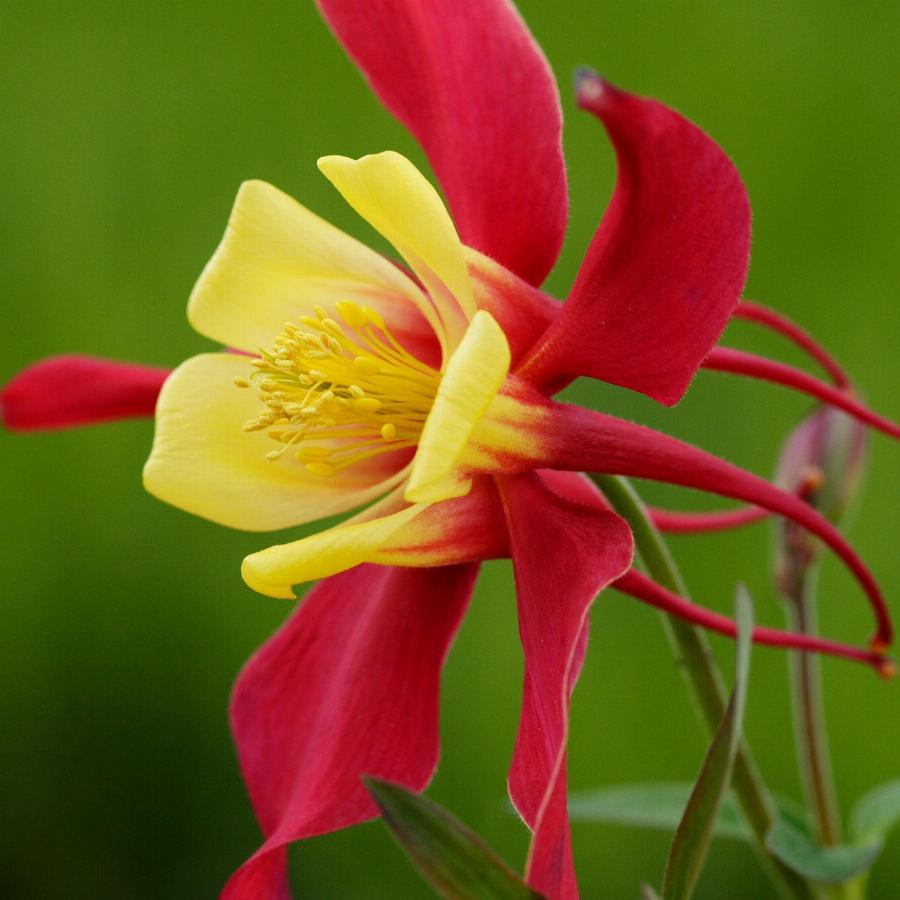 Превью изображения