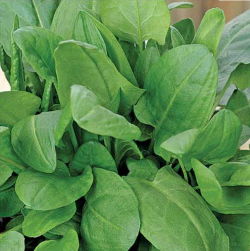 Превью изображения