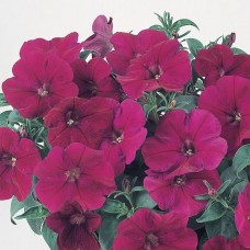 Превью изображения