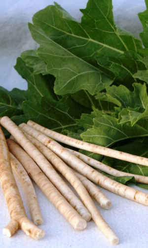 Превью изображения