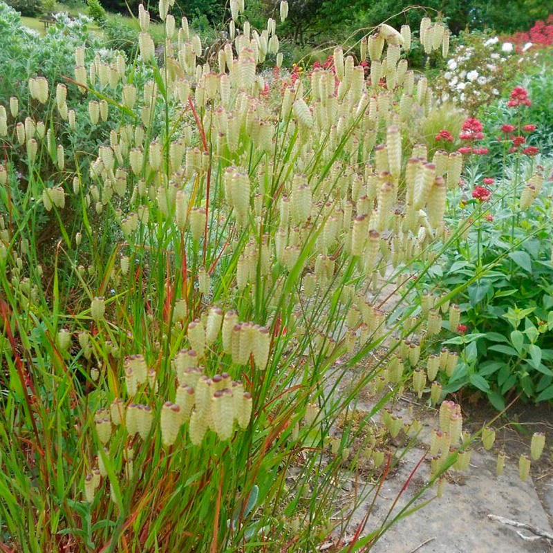 Превью изображения