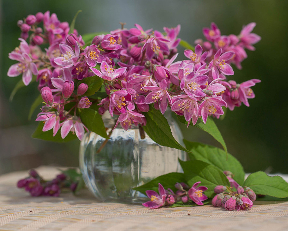 Превью изображения